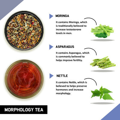 Teacurry Morphology tea ingredients and benefits 