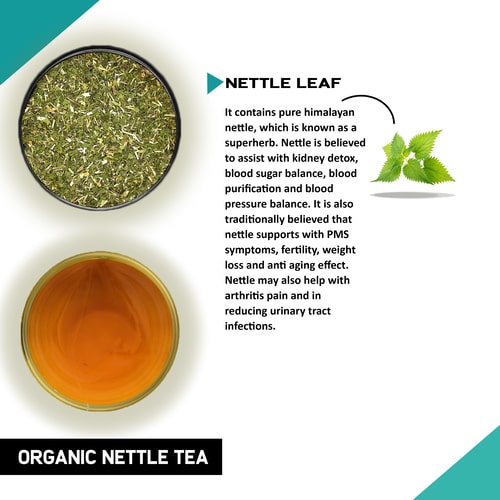 Organic Nettle Tea - Ingredient