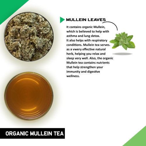 organic mullein tea Ingredient