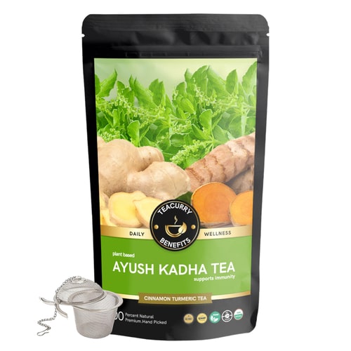 Teacurry Ayush Kadha Tea - loose pack with infuser