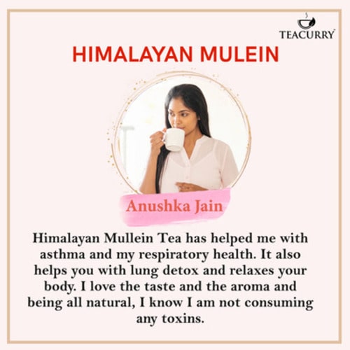 Himalayan Mullen Tea Reviewed by Anushka Jain - mullein organic tea - organic mullein tea bags