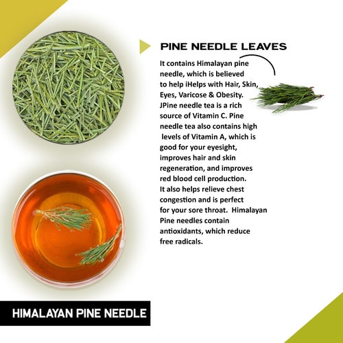 Organic Pine Needle Tea Bags Natural Herbal India  Ubuy