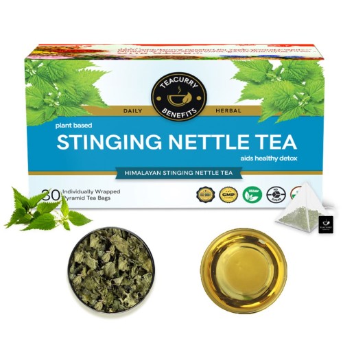 Teacurry Stinging Nettle Tea Box